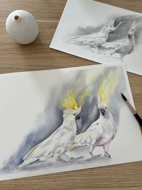 Louise De Masi, Australian Watercolour, Practice Watercolor, Watercolour Birds, Watercolour Bird, Stork Bird, Watercolour Techniques, Colour Study, Watercolor Tips