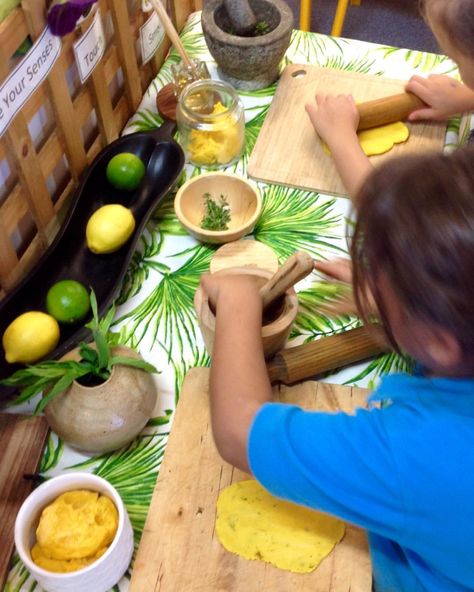 The children loved this sensory table today - adding their crushed mint and lemon thyme to our lemon scented play dough 🍋🍃 Playdough Area, Nature Based Classroom, Playdough Station, Sukkot Crafts, Scented Play Dough, Heuristic Play, Winter Activities Preschool, Playdough Activities, Dramatic Play Preschool