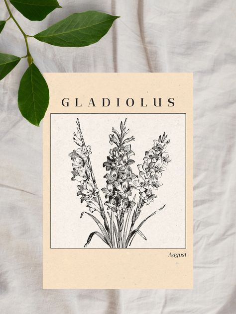 Discover the delicate beauty of the August gladiolus with this exquisite downloadable art print. Celebrate your birth month or gift someone special with this enchanting floral artwork, inspired by the unique symbolism of the gladiolus. August Gladiolus, August Art, August Flowers, Gladiolus Flower, August Month, 19 August, Month Of August, Calendar Ideas, Birth Month Flower