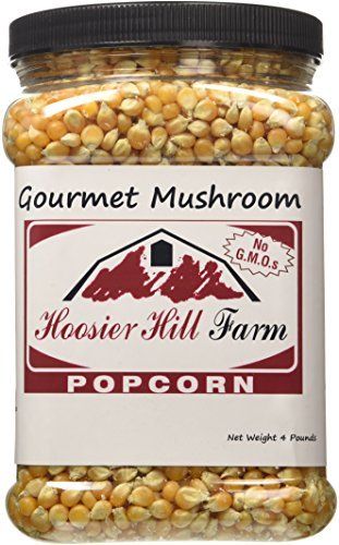 Mushroom Popcorn, Popcorn Seeds, Peanut Snack, Sweet Popcorn, Gourmet Food Store, Popcorn Snacks, Popcorn Bar, Kettle Corn, Candy Companies