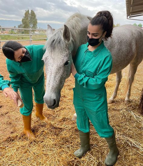 Equine Veterinary Aesthetic, Equine Veterinarian Aesthetic, Farm Vet Aesthetic, Livestock Veterinarian Aesthetic, Equine Vet Aesthetic, Farm Veterinarian, Livestock Veterinarian, Animal Physiotherapy, Livestock Vet