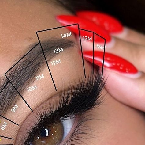 Top lashes and lashmakers on Instagram: "New mapping, fox effect curl M   Credit: @lash.byl   #extensionsdecilsnice #lashcourse #lashmapping #lashmasterclass #lashmap #lashextensions #lashartist #extensionsdecils #extensionsdecilsparis #lashprofessional #lashmaster #lashmasters" M Curl Lash Extensions, Eyelash Tech, Perfect Eyelashes, Lash Business, Eyelash Extentions, Curl Lashes, February 15, Lash Artist, Girls Makeup