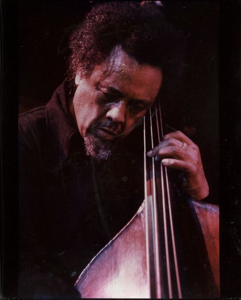 Playing An Instrument, Arte Jazz, Jazz Cat, Charles Mingus, Harlem New York, Duke Ellington, Jazz Artists, Music Album Covers, Contemporary Music