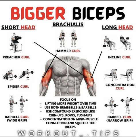 Strong Body Strong Mind, Biceps Workout At Home, Big Biceps Workout, Bigger Biceps, Back And Bicep Workout, Bicep And Tricep Workout, Chest Workout Routine, Workout Gym Routine, Gym Workout Guide