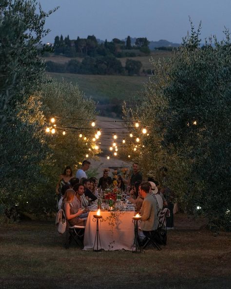 A magical evening celebrating love under the Tuscan sky, surrounded by the serene beauty of an olive grove✨ Venue @villacozzano Wedding Aesthetics, Olive Grove, Wedding Mood Board, Wedding Mood, Dreamy Wedding, Future Life, Backyard Wedding, Wedding Bells, Dinner Table