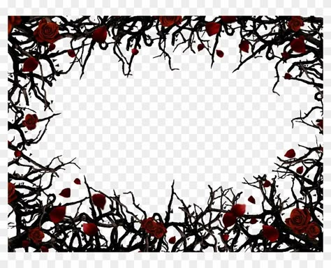 Gothic Border, Red Black Roses, Thorny Vines, Thorny Rose, Gothic Frame, Roses Gothic, Roses Clipart, Gothic Ideas, Flower Frame Png