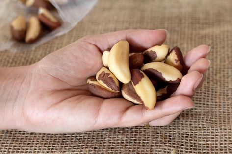 Photo hand with brazil nuts brazilian ch... | Premium Photo #Freepik #photo #natural-food #healthy-snacks #fresh-food #organic-food Brazil Nuts, Organic Food, Food Healthy, Natural Food, Premium Photo, Fresh Food, 1 Million, Chestnut, Nuts