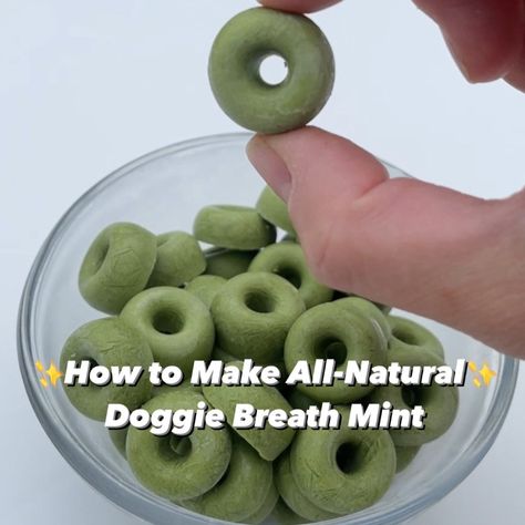 Dog Breath Mints Homemade, Dog Breath Mints, Dog Breath Treats, Healthy Thanksgiving Dinner, Breath Mints, Dog Breath, Peanut Butter Dog Treats, Mint Recipes, Diy Dog Treats