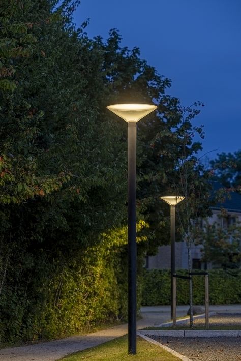 Near green shrubs at dusk, the QUINTUS L500 post light lights a road. Post Lights, Street Light, Landscape Lighting, Danish Design, Lighting Design, Lamp Post, Wellness Design, Lighting, Architecture