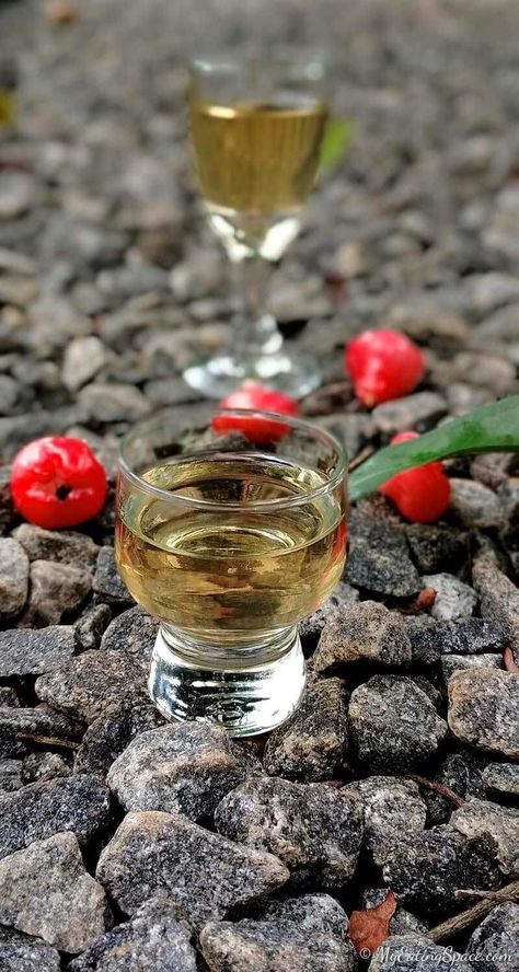 Water Apple Wine (No Yeast or Wheat) / Homemade Wine - 21 Day Wine making - My Eating Space Homemade Wine Recipes, Apple Wine, Wine Recipe, Tomato Curry, Mulled Cider, Coconut Milk Recipes, Homemade Wine, Apple Roses, One Pot Dishes