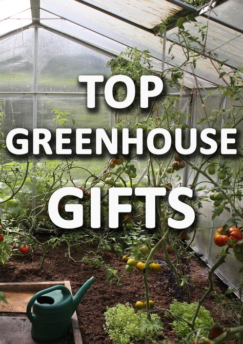 Decorate Greenhouse, Green House Storage Ideas, How To Decorate A Greenhouse, Greenhouse Planting Ideas, Garden Must Haves, Greenhouse Must Haves, Greenhouse Storage Ideas, Greenhouse Accessories, What Can You Grow In A Greenhouse