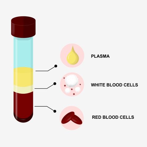 Blood Font, Graphic Design Png, Blood Components, Pink Blood, Images Design, Design Composition, Blood Donation, Composition Design, Technology Background