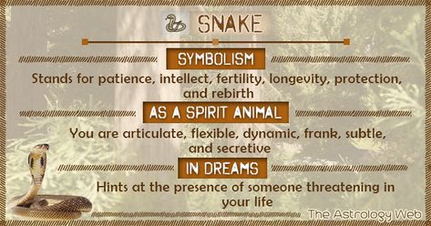 Snake Symbolism Spirit Animal Dream Snake Totem Spirit Animal, Snake Spirit Animal Meaning, Snake Dream Meaning, Snake Energy, Serpent Symbolism, Snake Meaning, Snake Symbolism, Animal Totem Spirit Guides, Snake Spirit Animal