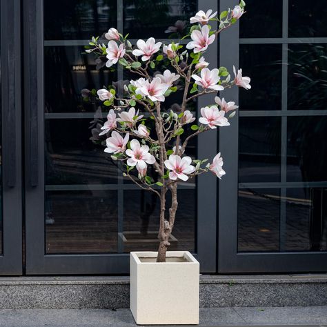 PRICES MAY VARY. 🌺Realistic Design: The Ttranewsoo Artificial Magnolia Tree features hand feeling leaves and flowers, providing a lifelike and natural appearance that will bring a touch of elegance to any space. 🌺Premium Quality Materials: The tree pole is made of durable plastic, ensuring stability and longevity. The hand feeling leaves and flowers are crafted with attention to detail, giving them a realistic texture and look. 🌺Versatile Application: This artificial tree is suitable for vari Flowers For Home Decor, Artificial Trees Outdoor, Large Fake Plants, Tall Fake Plants, Plants For Home Decor, Artificial Magnolia, Tree Indoor, Plants For Home, Indoor Tree