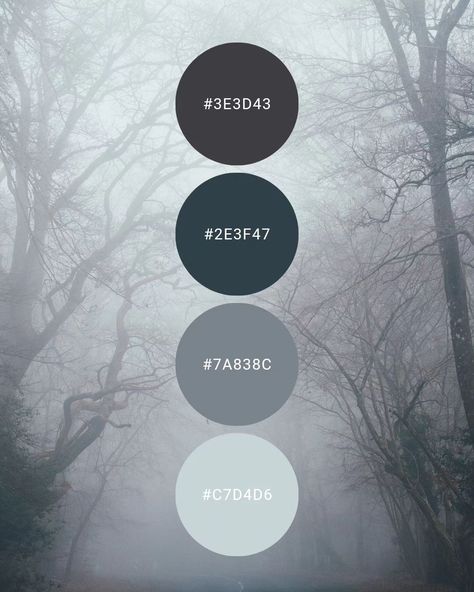 The Colour of Calm - Free Colour Palettes (@the_colour_of_calm) • Instagram photos and videos Thunderstorm Color Palette, Winter Color Palette, Color Schemes Colour Palettes, Deep Winter, Color Palette Design, Winter Color, Colour Palettes, Winter Colors, The Colour