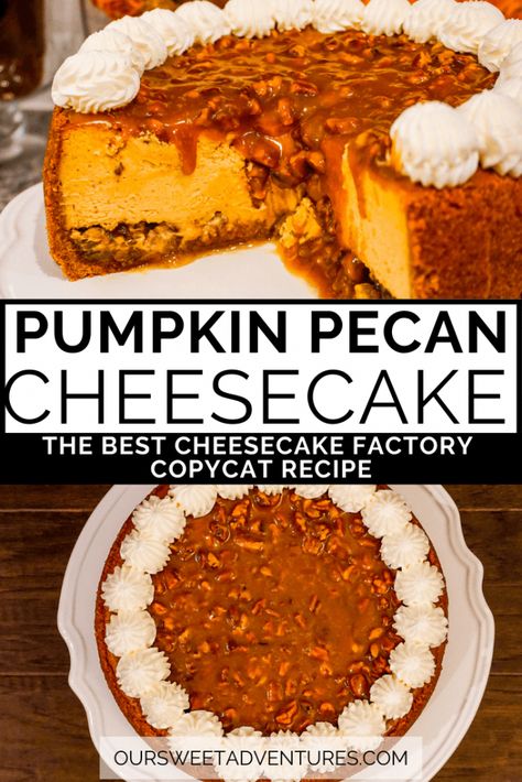 Learn how to make the BEST FALL DESSERT - a Pumpkin Pecan Cheesecake. This decadent dessert combines 3 favorites - pecan pie, pumpkin pie, and cheesecake. You have graham cracker crust, pecan pie filling, pumpkin cheesecake, pecan caramel, and whipped cream...yumm!!! This Cheesecake copycat recipe has step by step directions so you can bake the perfect dessert this holiday season. Cheesecake Factory Pumpkin Pecan, Pumpkin Pecan Cheesecake Factory, The Best Pumpkin Cheesecake Recipe, Pecan Pie Pumpkin Cheesecake Recipe, Pumpkin Cheesecake With Pecan Topping, Cheesecake Factory Copycat Pumpkin Pecan Cheesecake, Pumpkin Cheesecake Pecan Pie, Pumpkin Pecan Pie Cheesecake, Pecan Pie Pumpkin Cheesecake