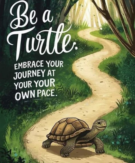 Slow Time Quotes, Turtle Wisdom, Slow Quotes, Slow Down Quotes, Swim Quotes, Turtle Quotes, Batik Diy, Animated Quotes, Making Stencils