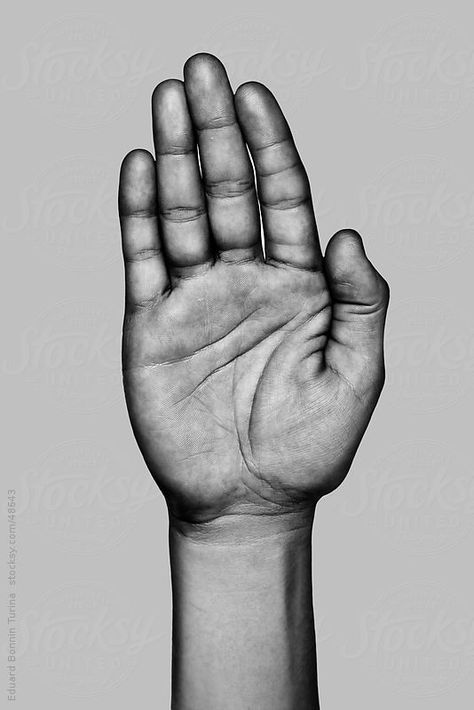 hand palm - Google Search Hand Palm Up Drawing, Stop Hand Drawing, Hand Reference Black And White, Palm Hand Drawing, Hand Collage, Hands Black And White, Drawn Hands, Palm Of Hand, Hand Palm