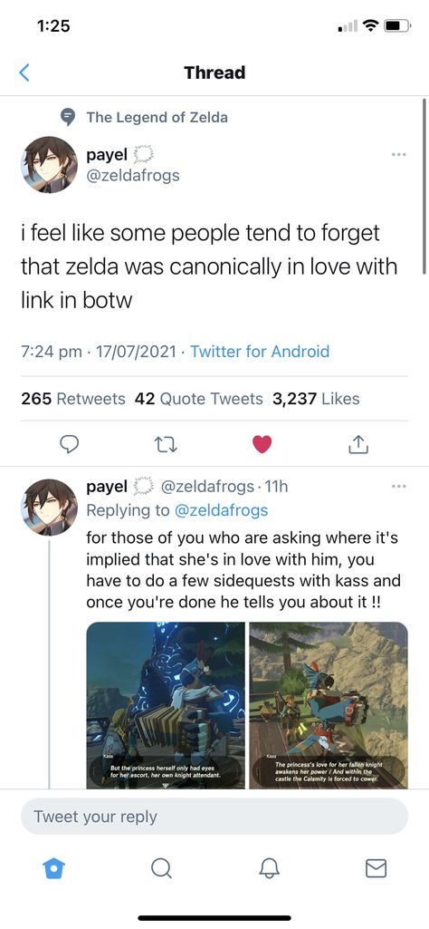 Breath Of The Wild Zelink, Link X Zelda Botw, Link X Zelda Totk, Link Zelda Breath Of The Wild, Zelink Headcanons, Zelink Totk, Totk Zelda Art, Legend Of Zelda Breath Of The Wild, Legend Of Zelda Funny