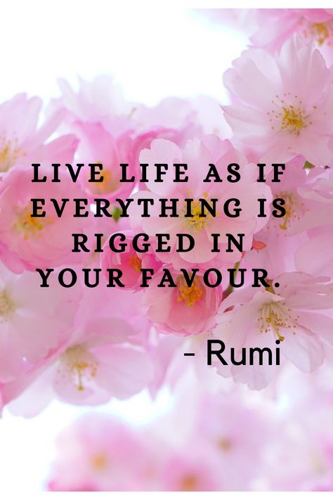 A collection of profound and thought provoking quotes by the Sufi mystic Rumi. Rumi Quotes Women, Rabbit Pancakes, Lovers Dont Finally Meet Rumi, Mystical Quotes, Quotes By Rumi Inspirational, Beyond Right And Wrong Rumi Quotes, Islamic Mysticism, Quotes Rumi, Best Of Rumi Famous Quotes