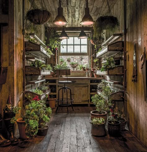 The Grounds of Alexandria - Fresh Cup Magazine The Grounds Of Alexandria, Timber Beams, Potting Shed, Cozy Interior, Shed Plans, Garden Shed, Design Case, Decor Rustic, Garden Room