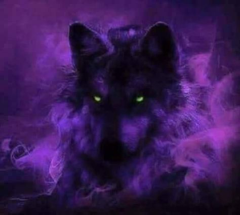 Wild Shape, Fantasy Wolf, Wild Animals Pictures, Dark Purple Aesthetic, Wolf Spirit Animal, Dire Wolf, Wolf Wallpaper, Beautiful Wolves, Wolf Spirit