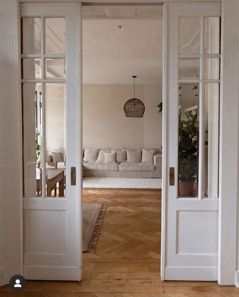 Living Room Double Doors, Idea For Room, Pocket French Doors, French Pocket Doors, Interior Pocket Doors, Window Seat Ideas, Sunroom Remodel, Sliding Doors Internal, Sliding French Doors