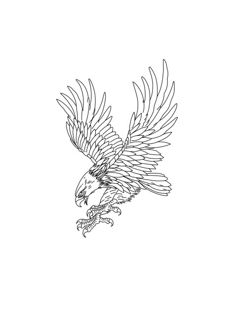 Boho Eagle Tattoo, Eagle Tattoo Linework, Filipino Eagle Tattoo, Vintage Eagle Tattoo, Eagle Patchwork Tattoo, Harris Hawk Tattoo, Men Shin Tattoo Ideas, Small Eagle Tattoo Men, Fish Eagle Tattoo