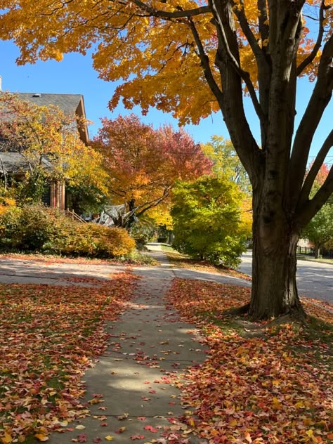 Autumn Neighborhood Aesthetic, Fall Town, Aesthetic With Friends, Pics To Recreate, Fall Aesthetic Pictures, Hygge Autumn, Aesthetic Picture Ideas, Fall California, Fall Szn