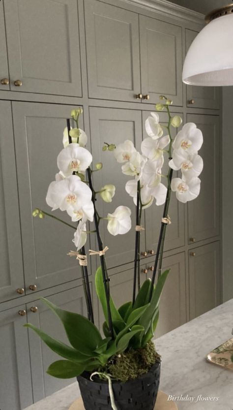 Orchid Decor Living Room, Island Decorating Ideas, Orchid In Bedroom, Orchid Room Decor, Orchid Entryway, Orchid Bedroom, Fake Orchids Decor Home, Kitchen Island Decorating Ideas, Orchid Decor