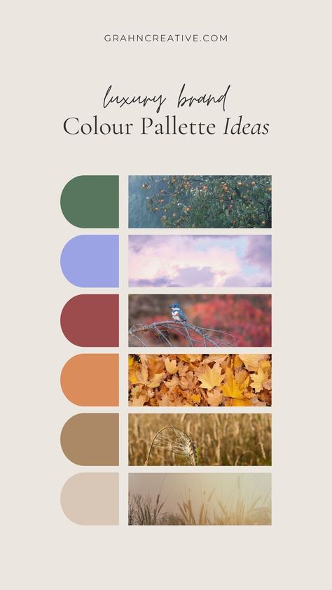 autumnal inspired colour swatched alongside autumn photographs which inspired the colours. Luxury Website Color Palette, Chic Colour Palette, Colour Palette Ideas, Brand Colour Palette, Luxury Website, Website Color Palette, Luxury Branding Design, Palette Ideas, Web Design Projects