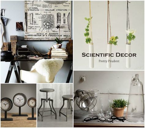 We've recently found ourselves completely smitten with science-inspired designs in the home - beakers, periodic tables, anatomy charts, microscopes - you name it, we love it. The great thing with scientific decor is that you can go for a vintage approach with the rustic metals, brighten it up with nature, and teach an educational lesson at the same time. I will also take any chance I can get to buy more glass jars, specimen jars are totally not the same thing as mason jars. If my hypothesis is c Apothecary Bedroom Ideas, Biology Room Decor, Scientific Decor, Science Bedroom Decor, Science Room Decor, Apothecary Room, Science Decorations, Science Bedroom, Science Room