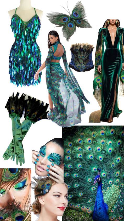 Peacock Costume, Halloween