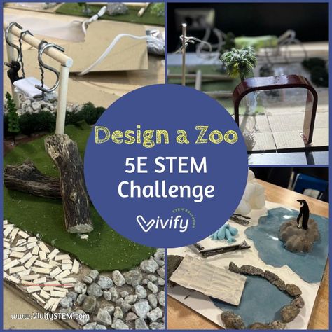 Unleash your inner zoo architect! This 5E STEM challenge lets students design their dream zoo & become animal experts! ️‍Is captive life good for animals? Learn the answer & more as you build awesome habitats! Design A Zoo Project, Brainstorming Activities, Stem Lesson Plans, Homeschool Stem, Zoo Project, Explorers Activities, Stem Curriculum, Stem Elementary, Stem Lesson