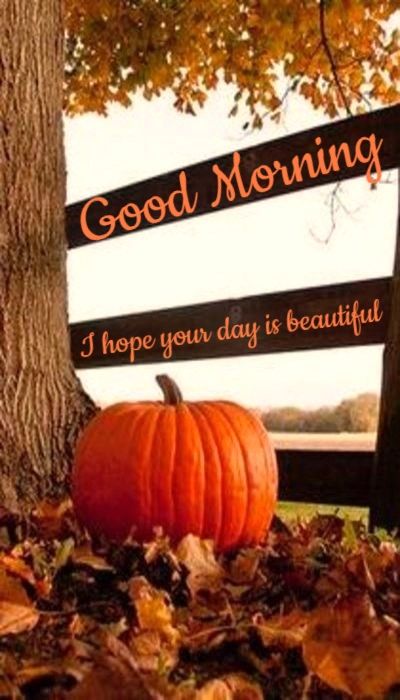 Good Morning October Images, Good Morning Halloween Images, Good Morning Tuesday Fall Images, Tuesday Fall Morning, Wednesday Fall Morning Quotes, Good Morning Fall Images, Good Morning Monday Fall Images, Good Morning Meme, Good Morning Animals