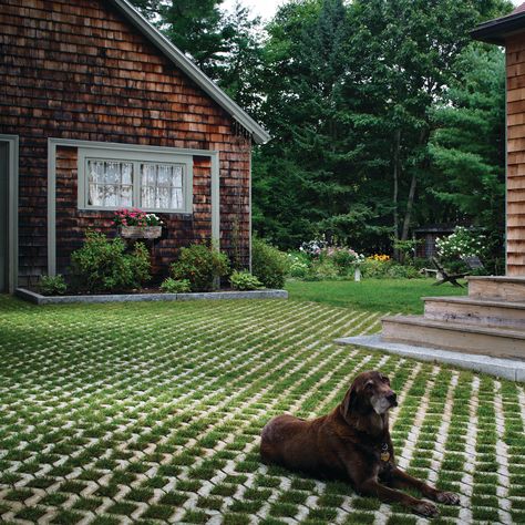 Eco Driveway, Grass Pavers Driveway, Permeable Pavers Driveways, Pervious Pavers, Grass Driveway, Permeable Driveway, Grass Pavers, Outdoor Living Deck, Outdoor Pavers