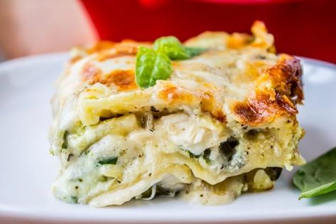 White Lasagna with Chicken and Pesto Chicken Lasagne, Chicken Lasagna Recipe, White Chicken Lasagna, Classic Lasagna Recipe, White Lasagna, Week Meals, Lasagne Recipes, Kidney Friendly Foods, Classic Lasagna