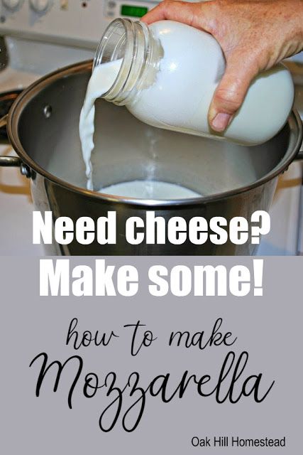 Make Fresh Mozzarella, Make Mozzarella Cheese, Homemade Mozzarella Cheese, Recipes With Mozzarella Cheese, Cheese Recipes Homemade, Homemade Mozzarella, Cheese Making Recipes, Goat Milk Recipes, Diy Foods