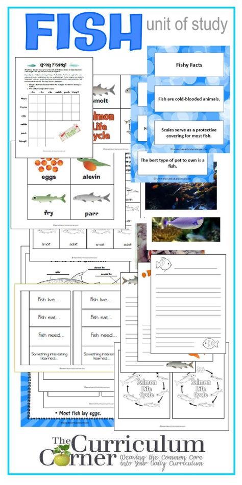 Fish Unit Study, Tot Schooling, Study Science, Fish School, Ocean Habitat, Summer Worksheets, Ocean Unit, Child Education, Notebook Pages