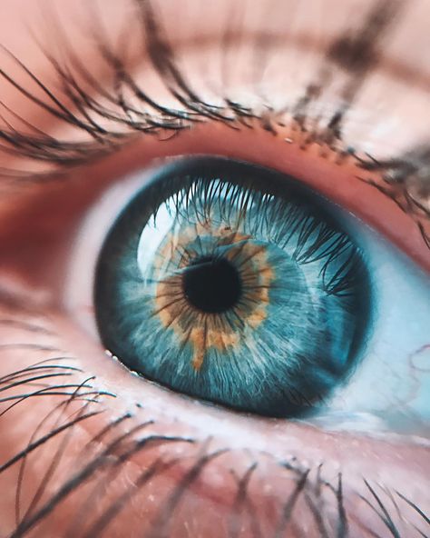 6,878 Likes, 94 Comments - Natalia Seth (@escapingyouth) on Instagram: “Every focused thought, just an illusion” Foto Macro, Realistic Eye Drawing, Beautiful Eyes Color, Eye Close Up, Realistic Eye, Close Up Photography, Eye Photography, Aesthetic Eyes, Human Eye