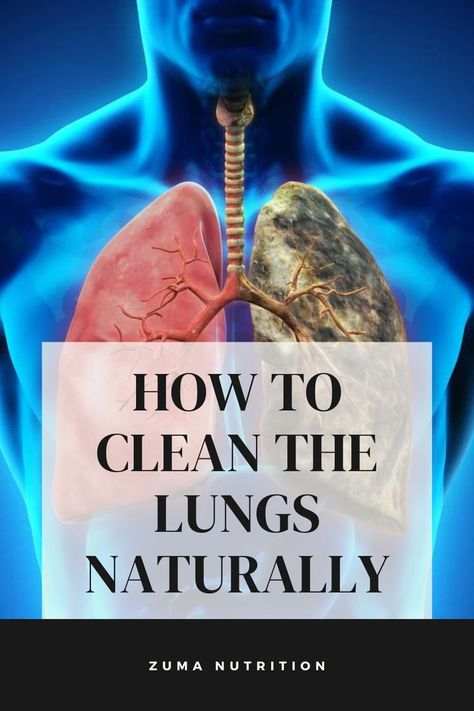 A Step by Step Guide to Cleaning the Lungs Clean Lungs, Lung Health, Lymph System, Lungs Health, Respiratory Health, Respiratory System, Lungs, Step By Step Guide, Herbal Medicine