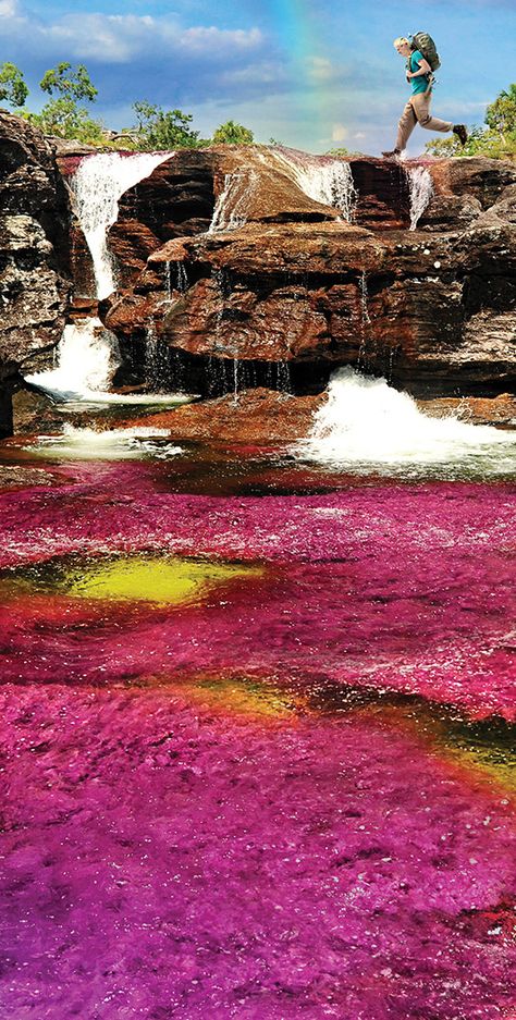 Rainbow River, Colombia Travel, South America Travel, Beautiful Places In The World, Beautiful Places To Visit, Amazing Places, America Travel, Most Beautiful Places, Travel Around