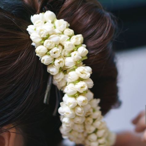 The ubiquitous jasmine flower, or 'Malli poo,' as it's affectionately known in South India, carries with it a fragrant whisper of tradition and tranquility. Its petals, as white as moonlight, grace temples, weddings, and festivals, symbolizing purity, love, and divine benediction. Throughout the ages, women have woven these scented strands into their hair, a gesture as sacred as the prayers offered to the gods and as joyful as the melodies echoing through marriage halls. Originating from th... White Jasmine, Jasmine Flower, Indian Culture, South India, Desi, India, Embroidery, Hair Styles, Weddings