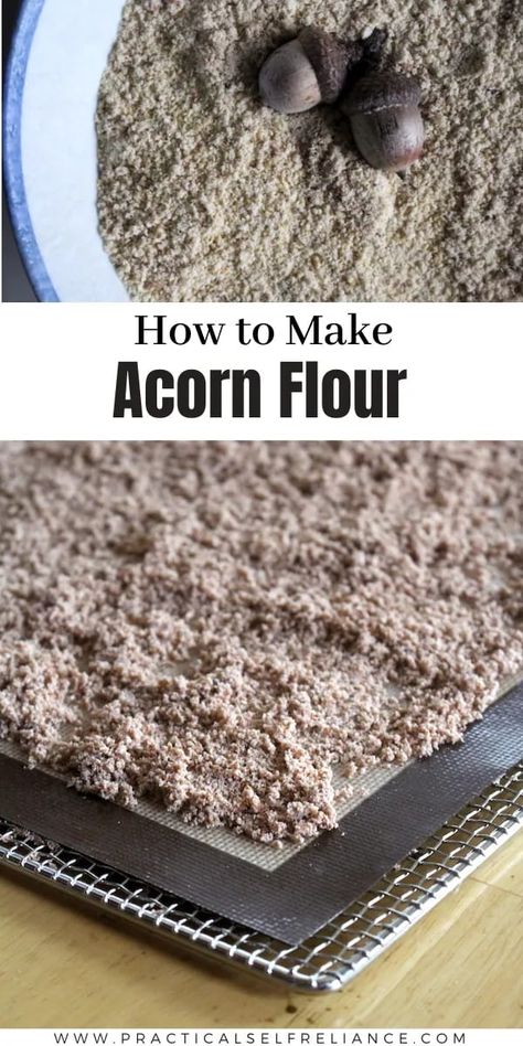 How to Make Acorn Flour - In the fall when acorns cover the ground, you may be wondering how to make acorn flour. In this step by step guide, I'll show you how to leach acorns and provide some of my favorite recipes using acorn flour, including acorn flour pasta. Acorn Flour, Pagan Food, Pioneer Living, Fungi Recipe, Medicinal Herbs Remedies, Chicken Of The Woods, Wild Food Foraging, Foraging Recipes, Edible Wild Plants