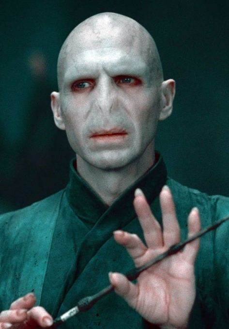 Harry Potter Villains, Harry Potter Trivia Quiz, Elder Wand, Harry Potter Deathly Hallows, Bellatrix Lestrange, Ralph Fiennes, Goblet Of Fire, Harry Potter Wand, Lord Voldemort