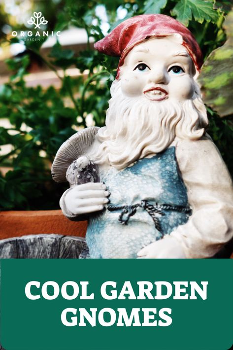 Gnomes are decoration pieces that are displayed in gardens and lawns. These comical creatures can help bring your yard to life and make someone’s day better. So, get ready because some funny garden gnomes are coming your way. #gnomes #gardengnomes Funny Garden Gnomes, Lawn Gnome, Themed Garden, Decoration Pieces, Gardening Gifts, Garden Gnomes, Decoration Piece, Gnome Garden, Grow Lights