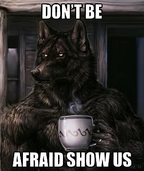 Alpha Wolf Quotes, Quotes For Confidence, Cut Wolf, Wolf Meme, Alpha Werewolf, Wolf Cut Hair, Wolf Character, Wolf Images, Alpha Wolf