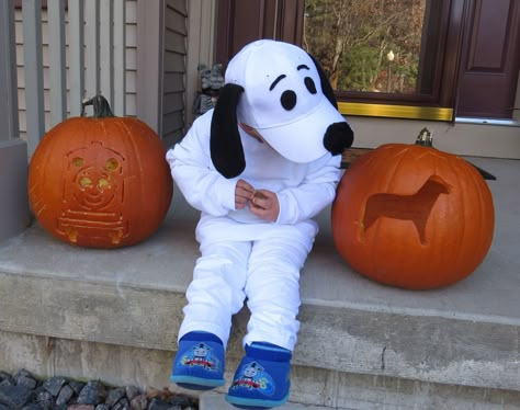 Snoopy costume! Halloween 2014. Snoopy Hat Diy, Snoopy Halloween Costume, Cute Snoopy Costume, Snoopy Costume Diy, Dog Costumes Homemade, Snoopy Adult Costume, Toddler Dog Costume, Puppy Costume For Kids, Cat Kid Costume Dog Man