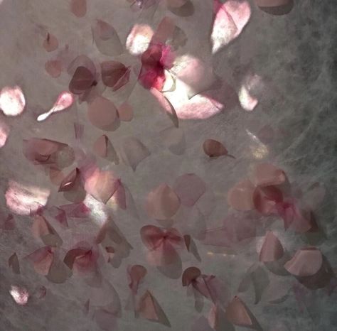 Rose petals Flower Petals Aesthetic, Hanahaki Disease Aesthetic, Petal Aesthetic, Rose Petals Aesthetic, Petals Aesthetic, Delancy Devin, Petals For Armor, Rose Petals Falling, Class 1b