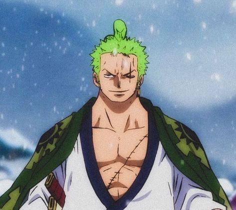 [more Icons/One piece stuff on my acc☠︎︎] Anime Icons Profile, Zoro Wano, One Piece Wano, Zoro One Piece, Full Body, Anime Icons, Profile Picture, One Piece, Hair